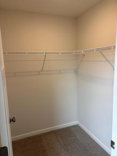 Walk-in closet with plenty of room for a dresser to keep your clothing organized.