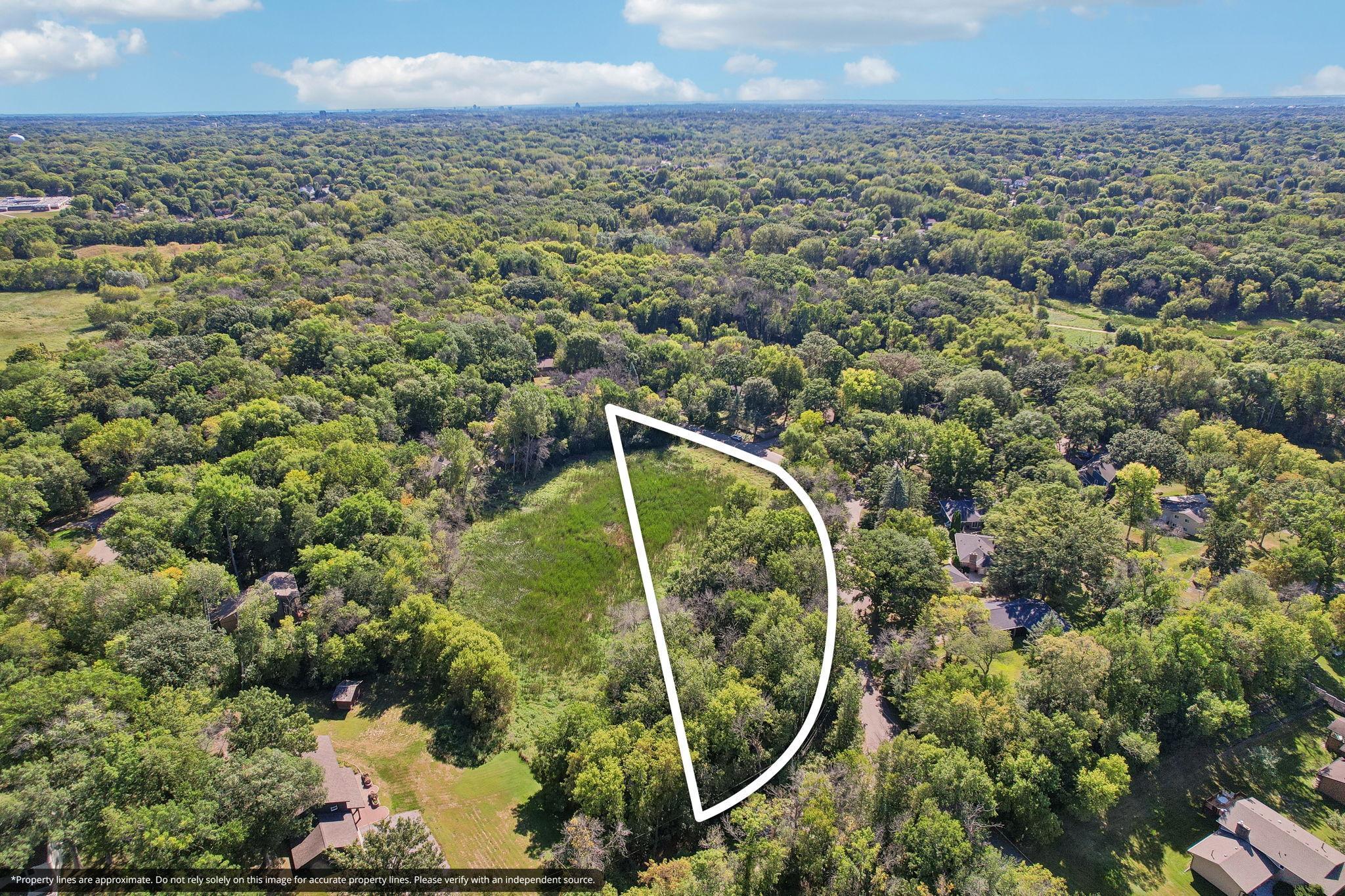 8-web-or-mls-7-print-Covington Rd-S1009-007-Property_lines.jpg