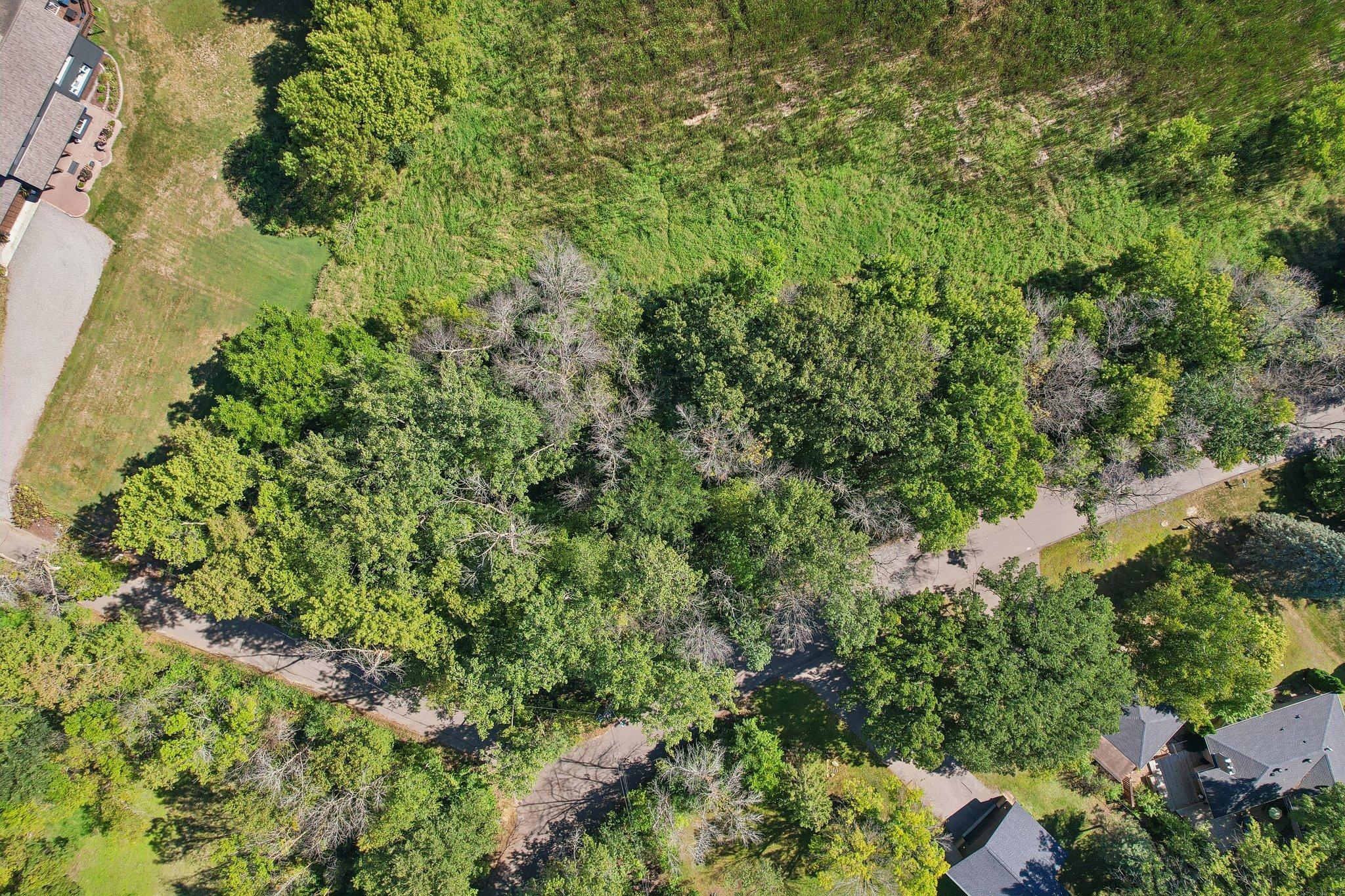 14-web-or-mls-Covington Rd-S1009-012.jpg