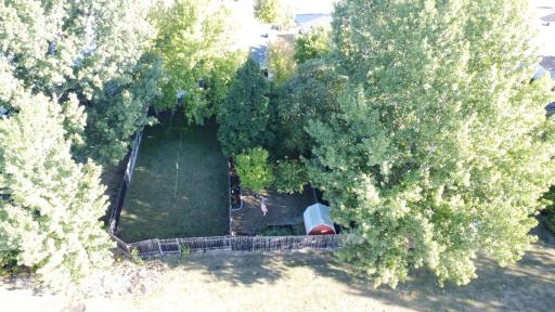 Shaded yard with shed