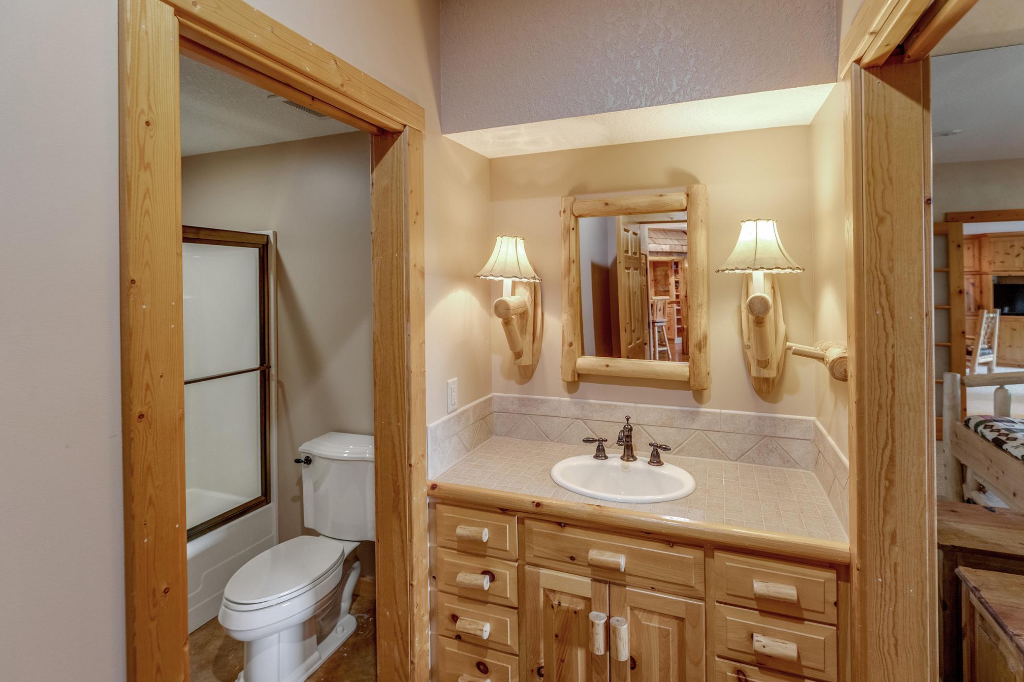 Lower Level Bathroom