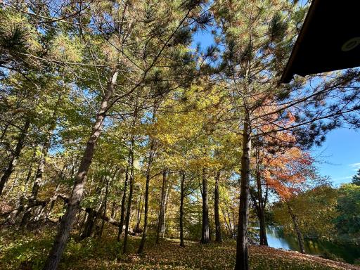 12402 ABC Drive, Crosslake, MN 56442