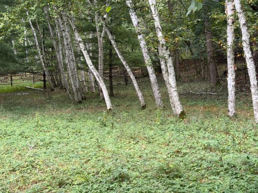 15581 Afton Boulevard S, Afton, MN 55001