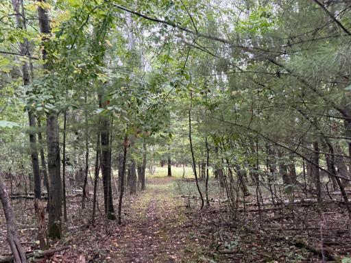 15581 Afton Boulevard S, Afton, MN 55001