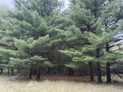 15581 Afton Boulevard S, Afton, MN 55001