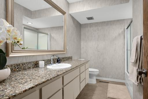 Lower level full bath