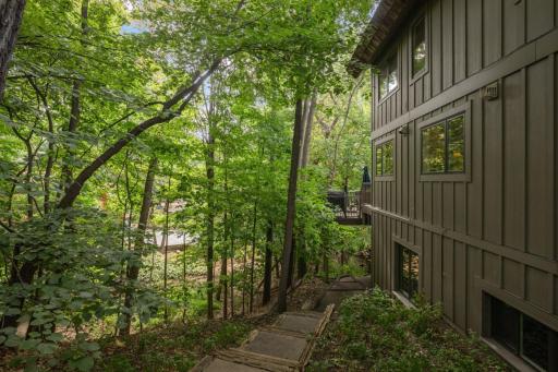 Privacy with woods on the back of the home