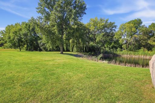 Backyard with Pond