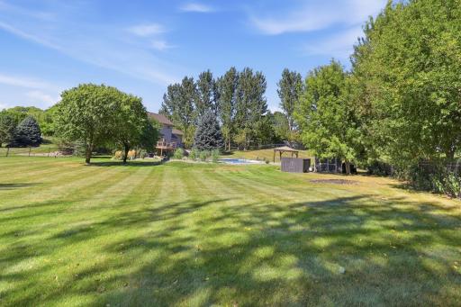 Back Yard 3.jpg