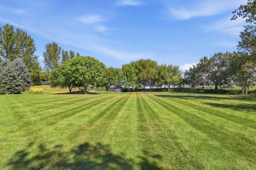 Back Yard 4.jpg