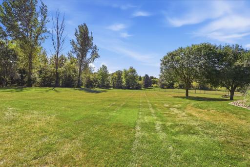 Back Yard 2.jpg