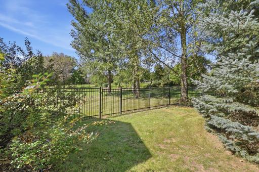 Fenced Dog Run 2.jpg