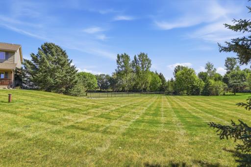 Side Yard.jpg
