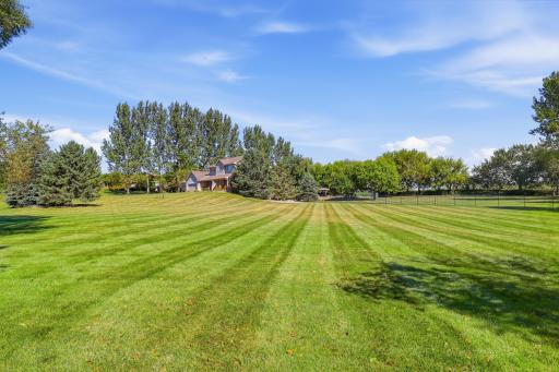 Side Yard 2.jpg