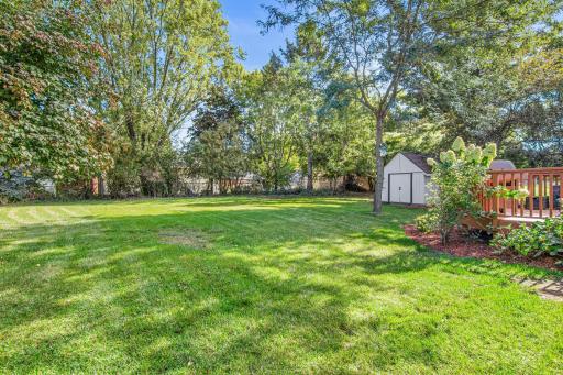 Spacious and flat backyard with privacy from neighbors to the back
