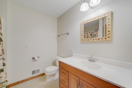 Lower level guest bath