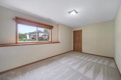 Bedroom #5 - lower level