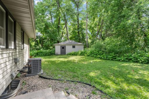 Large Backyard Shed