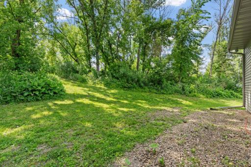 Walking Trails Throughout Wooded Backyard