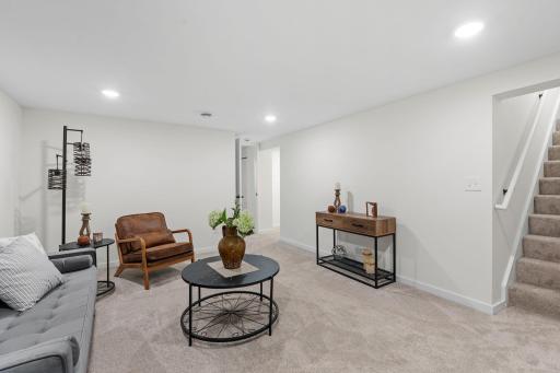 Family Room - Basement