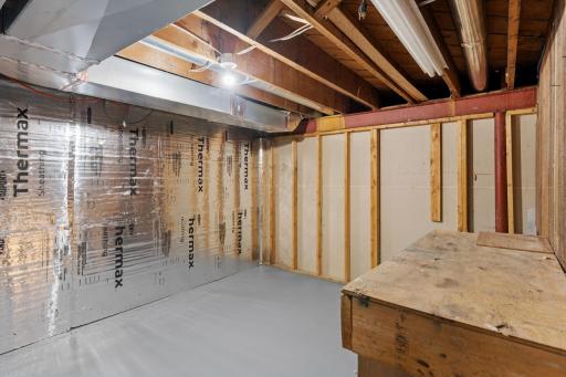 Large Storage Room - Basement