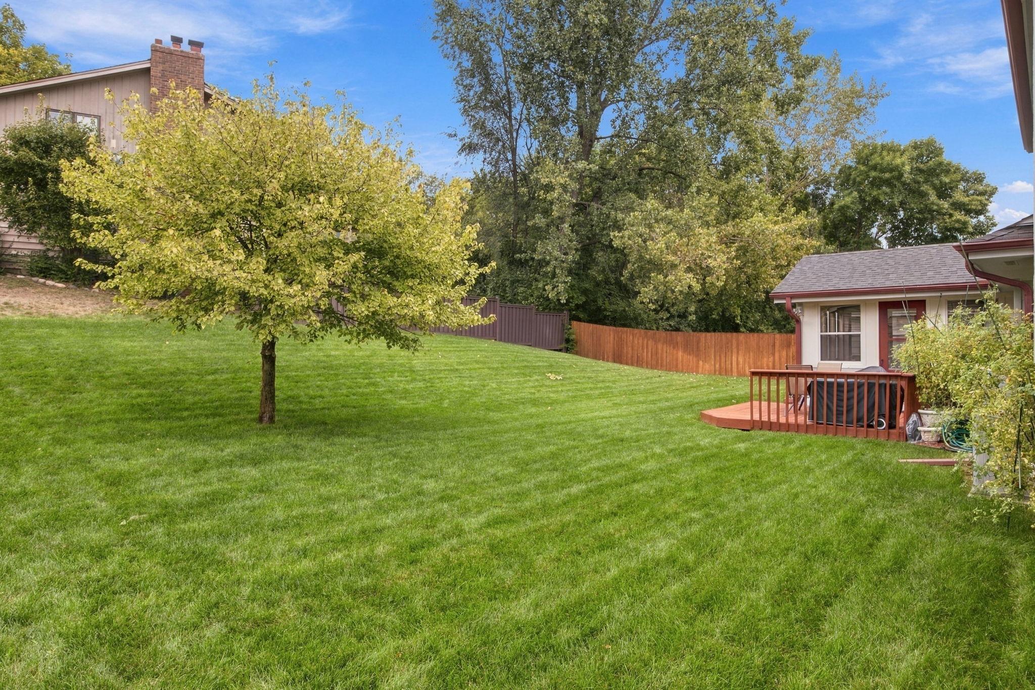 gorgeous yard