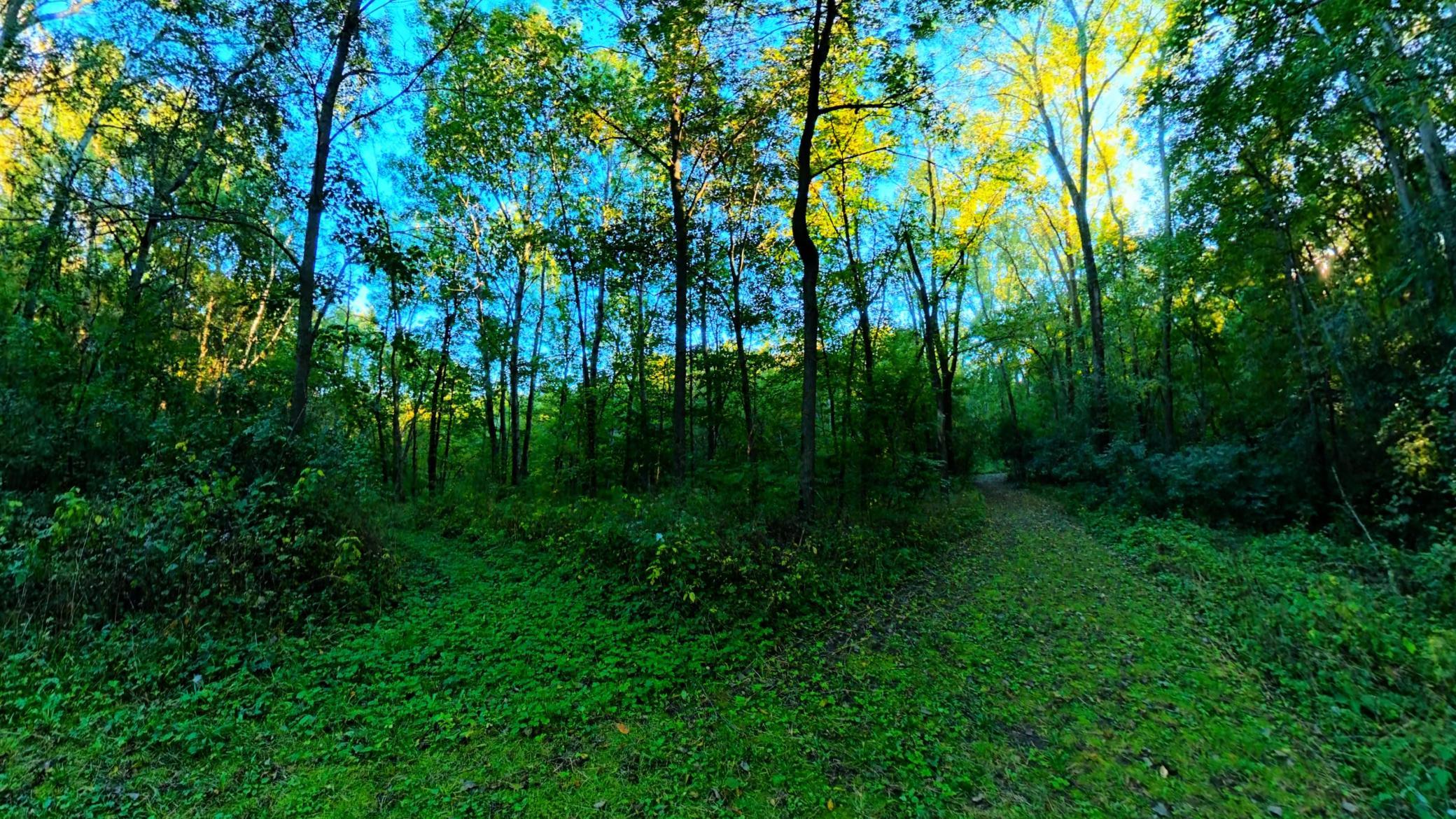Trails