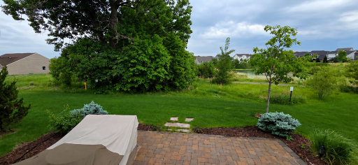 Peaceful setting overlooking mature oak trees and pond