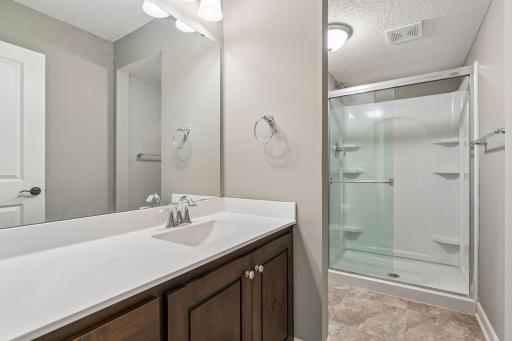 Full lower level bath.