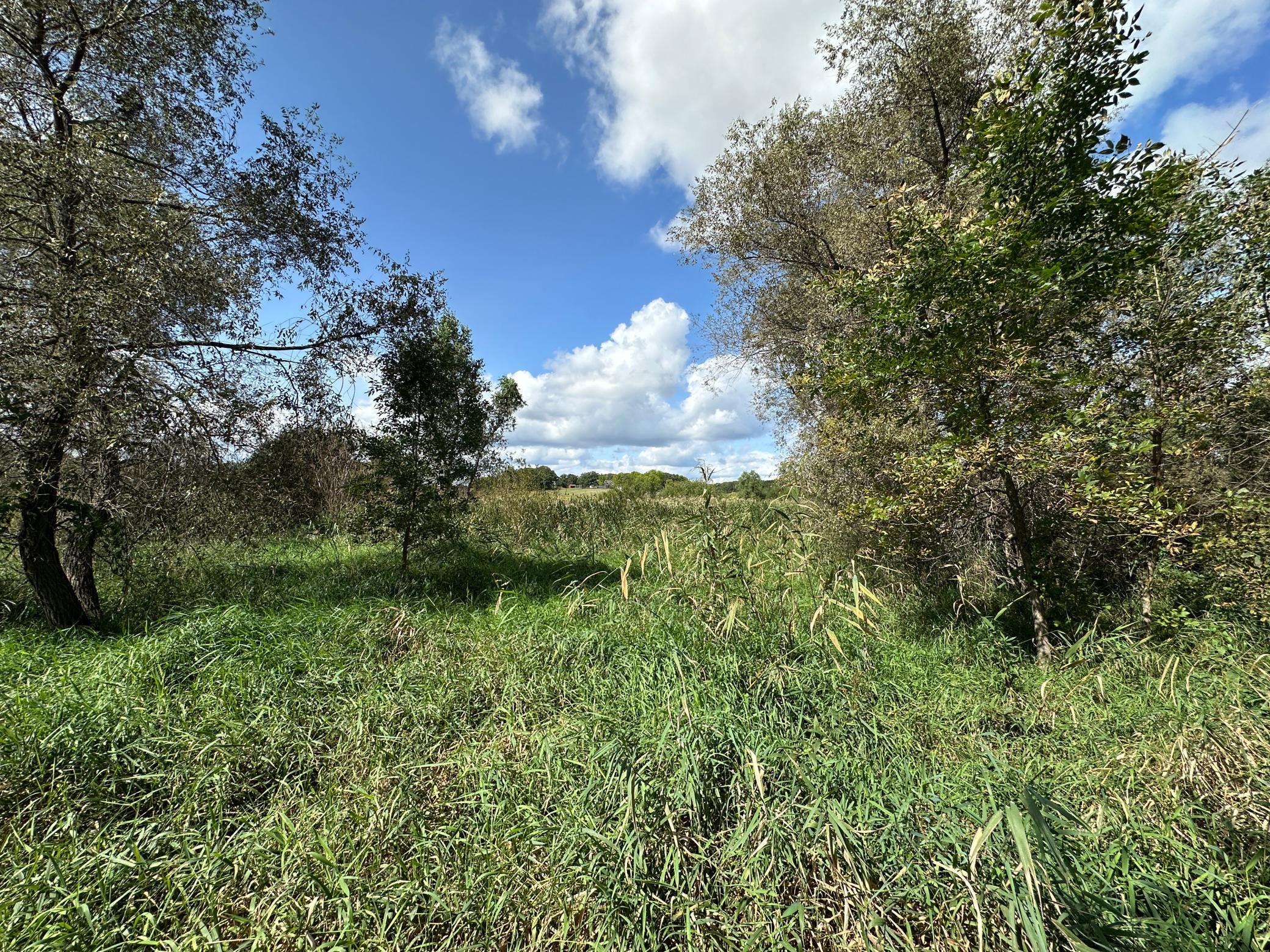 IMG_9645.JPG