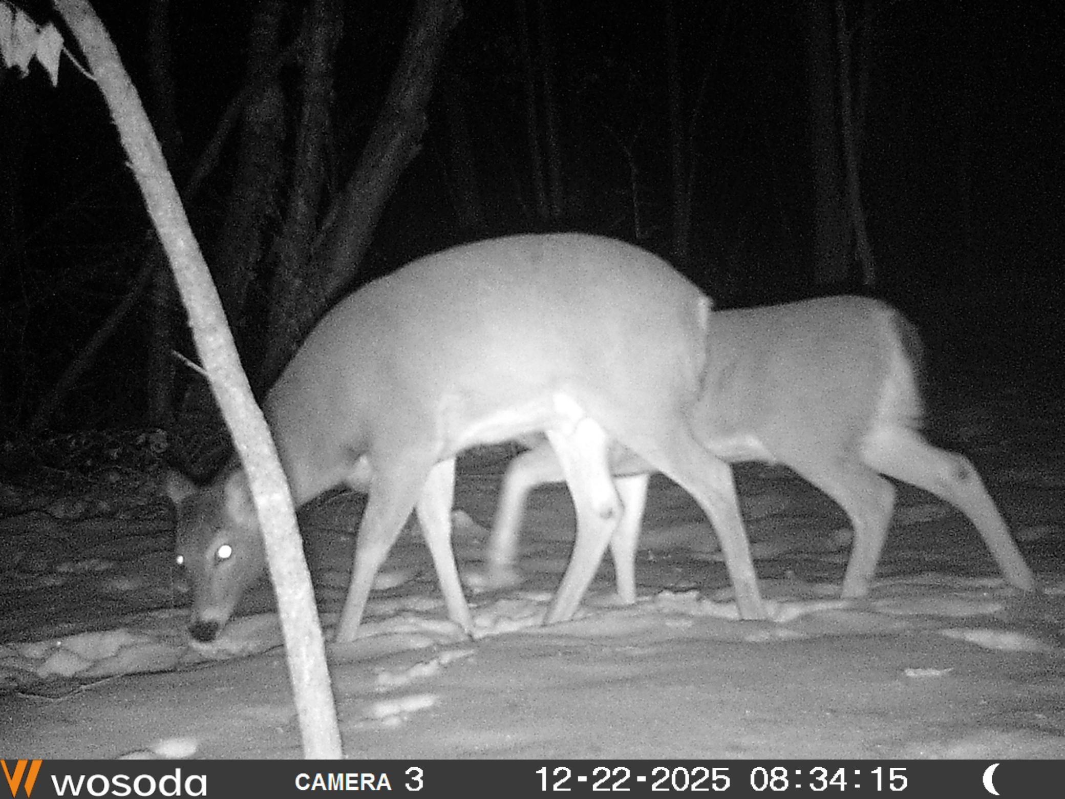image6.jpeg