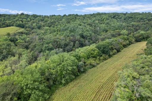 N7255 Holley Road, Holmen, WI 54636