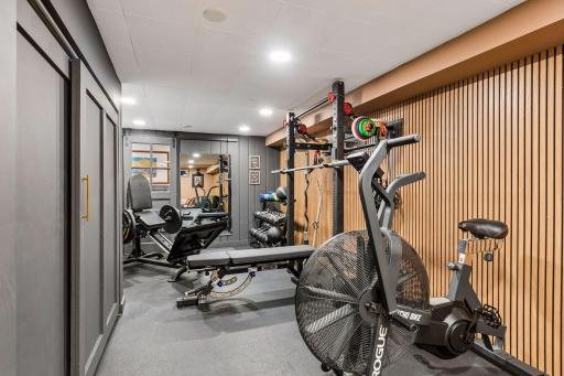 The large exercise room on the lower level, room for all of your equipment