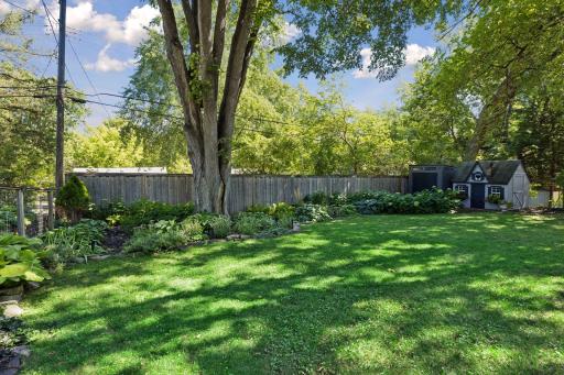 The large fenced back yard with a storage shed and playhouse