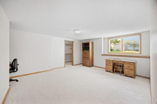 Lower level bedroom with daylight window and walk-in closet.