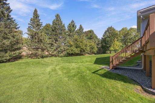 Large yard with large pine trees providing private views.