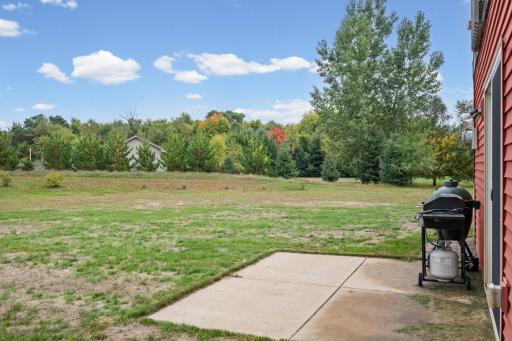 24065 Leo Street NE, Stacy, MN 55079
