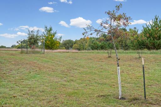 24065 Leo Street NE, Stacy, MN 55079