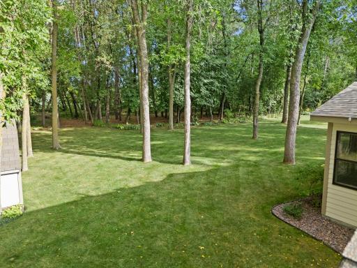 Level yard - perfect for yard games, easy mowing