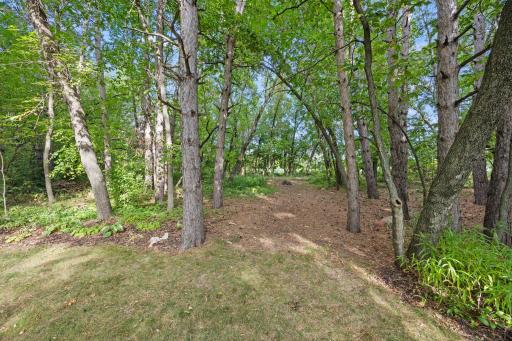 A hidden spot in the woods with a place for a camp fire