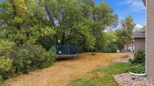 Backyard with dense tree line for privacy