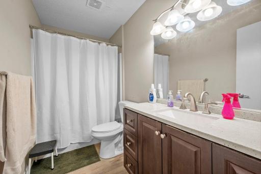 529 1st Street N, Montrose, MN 55363