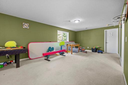 529 1st Street N, Montrose, MN 55363