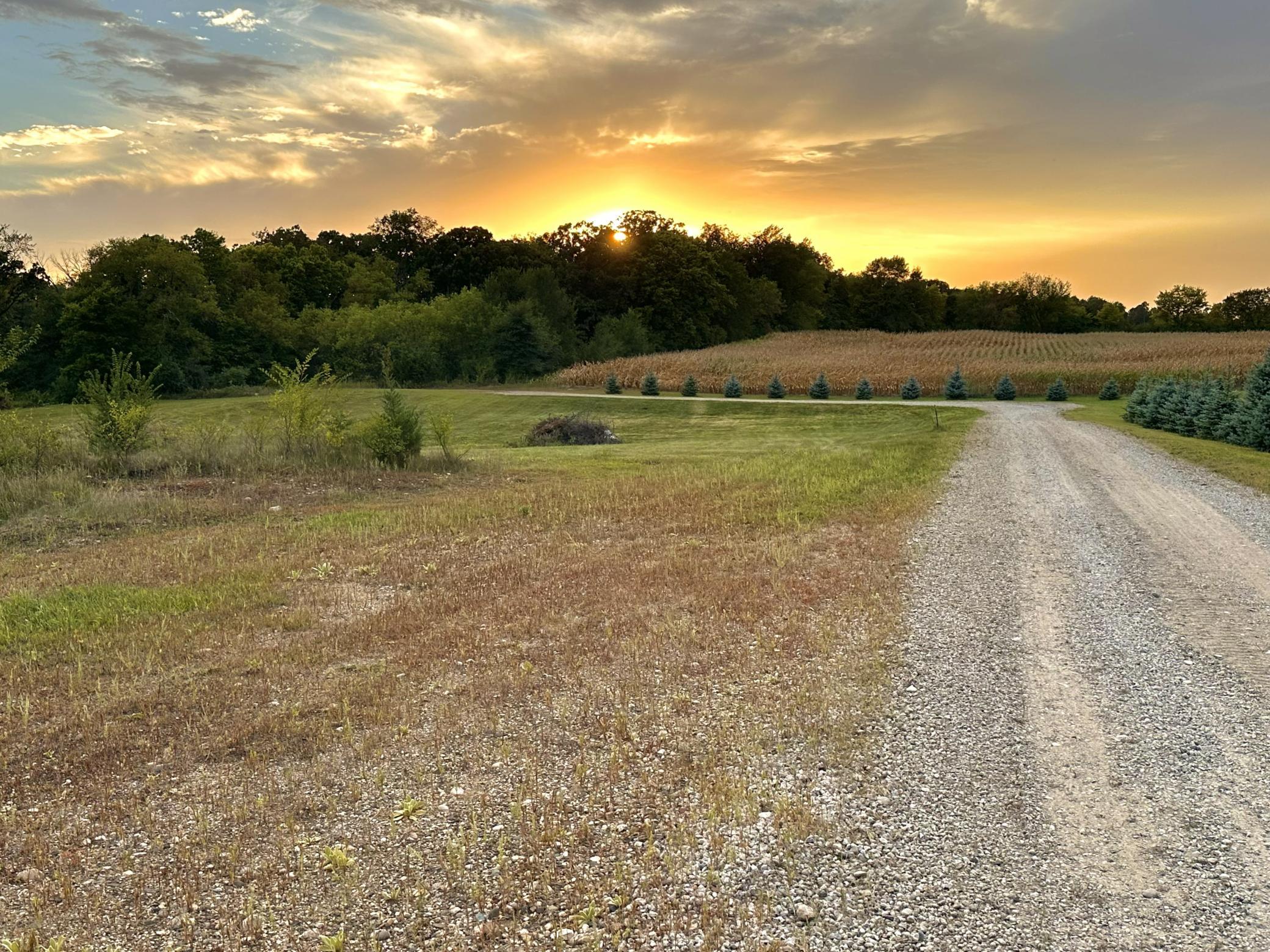 Every sunset at this property is unique and beautiful. Located in sought after Annandale School district.