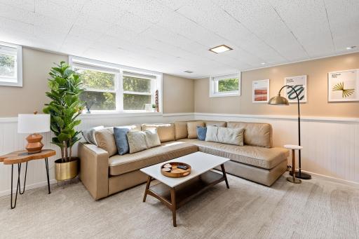 Lower Level Family Room Walks Out to Back Patio & Yard