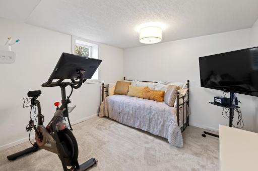 Lower Level Bedroom with Egress and Closet