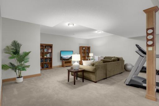 Lower level rec room