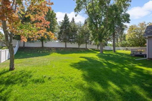 Fenced backyard