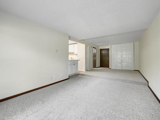 The living room/bedroom area has a step to separate them and the carpet is brand new.
