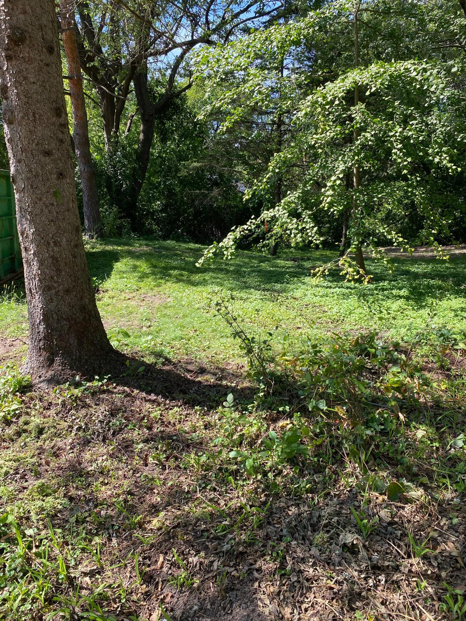 Cherry Ln 6.jpg
